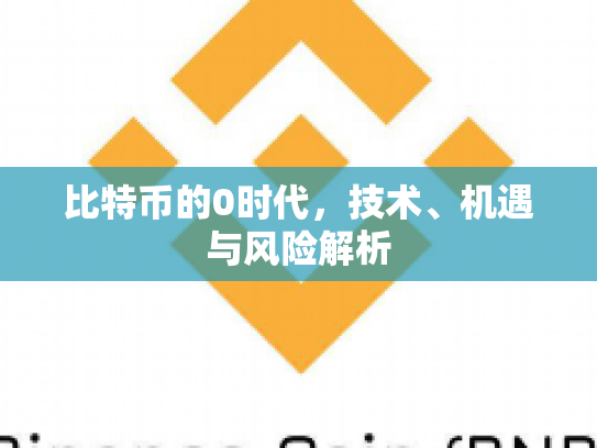 比特币的0时代，技术、机遇与风险解析