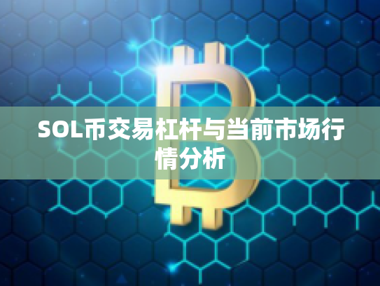 SOL币交易杠杆与当前市场行情分析