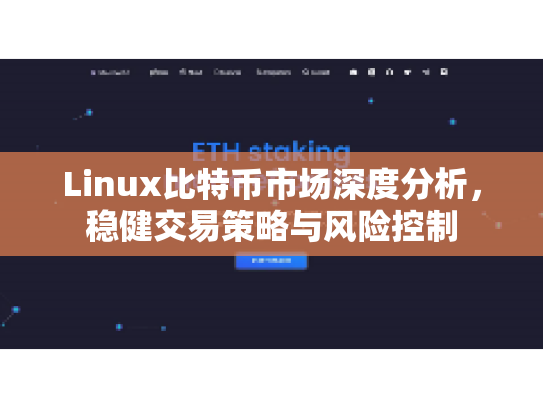 Linux比特币市场深度分析，稳健交易策略与风险控制