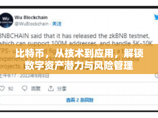 比特币，从技术到应用，解锁数字资产潜力与风险管理