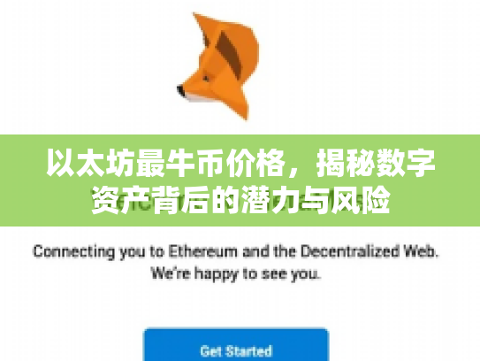以太坊最牛币价格，揭秘数字资产背后的潜力与风险