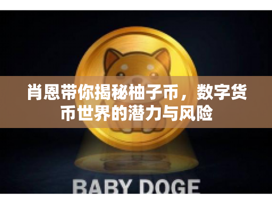 肖恩带你揭秘柚子币，数字货币世界的潜力与风险