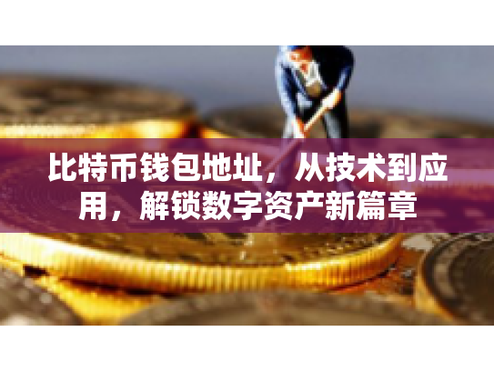 比特币钱包地址，从技术到应用，解锁数字资产新篇章