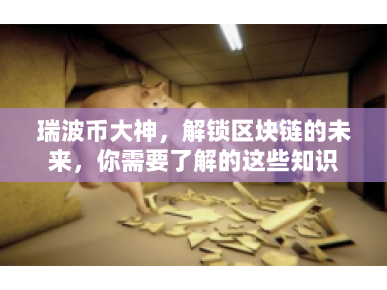 瑞波币大神，解锁区块链的未来，你需要了解的这些知识