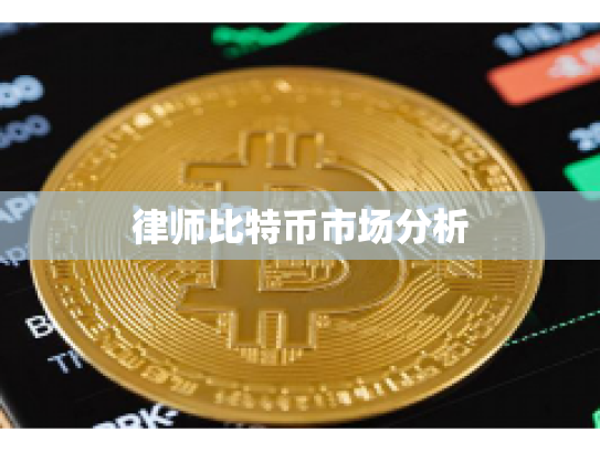 律师比特币市场分析
