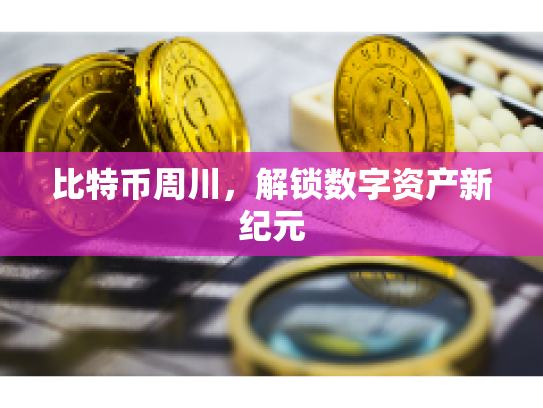 比特币周川，解锁数字资产新纪元