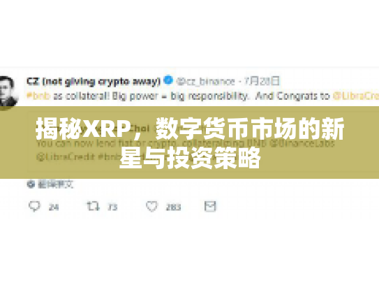 揭秘XRP，数字货币市场的新星与投资策略