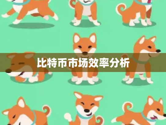 比特币市场效率分析