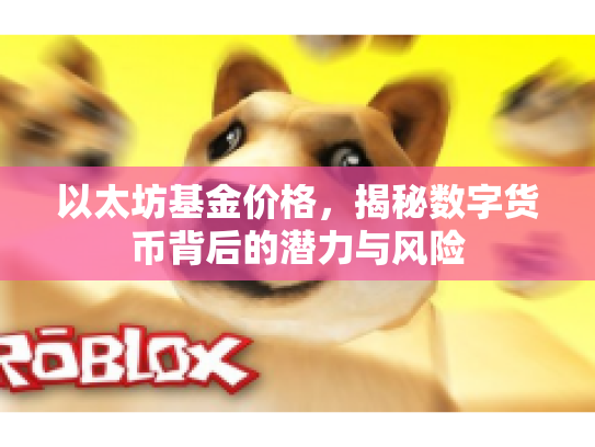 以太坊基金价格，揭秘数字货币背后的潜力与风险