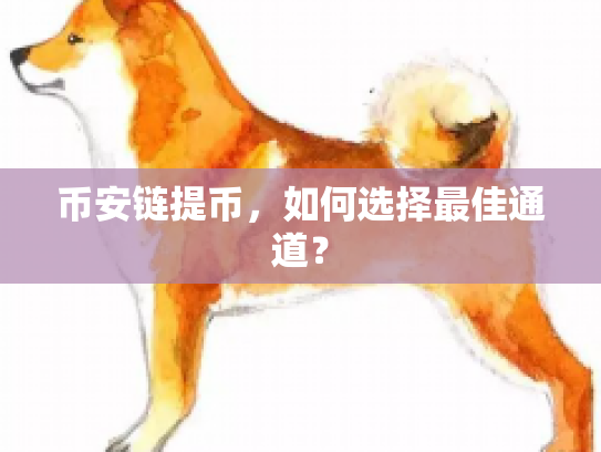 币安链提币，如何选择最佳通道？