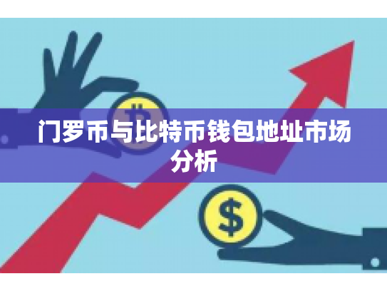 门罗币与比特币钱包地址市场分析