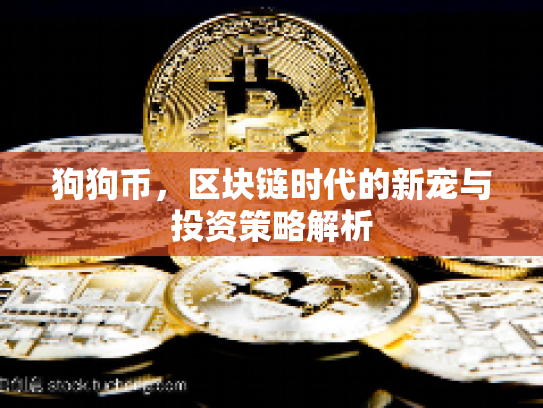 狗狗币，区块链时代的新宠与投资策略解析