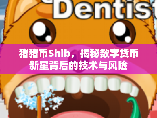 猪猪币Shib，揭秘数字货币新星背后的技术与风险