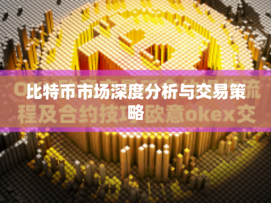 比特币市场深度分析与交易策略