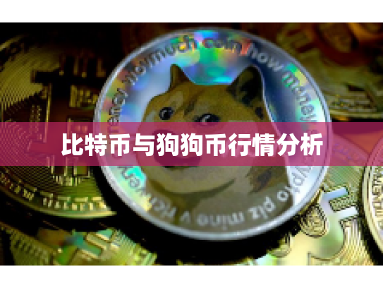 比特币与狗狗币行情分析
