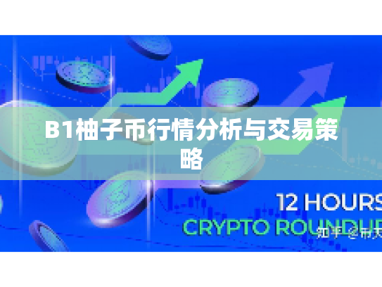 B1柚子币行情分析与交易策略