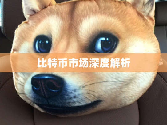 比特币市场深度解析