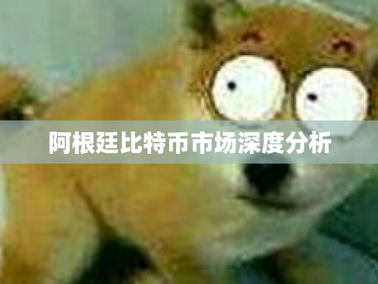 阿根廷比特币市场深度分析
