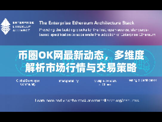 币圈OK网最新动态，多维度解析市场行情与交易策略