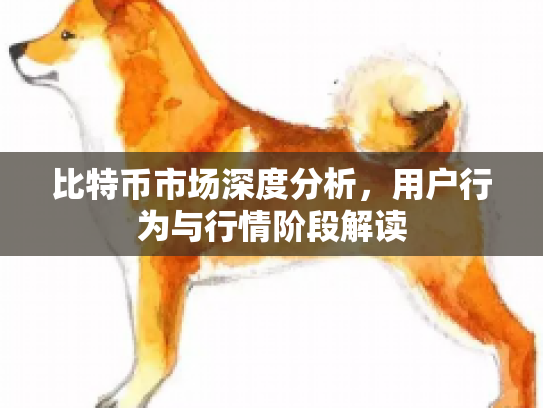 比特币市场深度分析，用户行为与行情阶段解读
