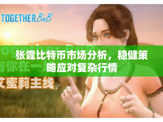 张霆比特币市场分析，稳健策略应对复杂行情