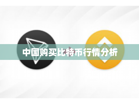 中国购买比特币行情分析