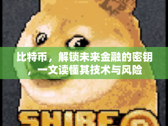 比特币，解锁未来金融的密钥，一文读懂其技术与风险