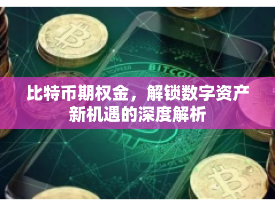 比特币期权金，解锁数字资产新机遇的深度解析