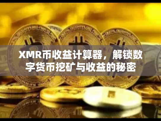 XMR币收益计算器，解锁数字货币挖矿与收益的秘密