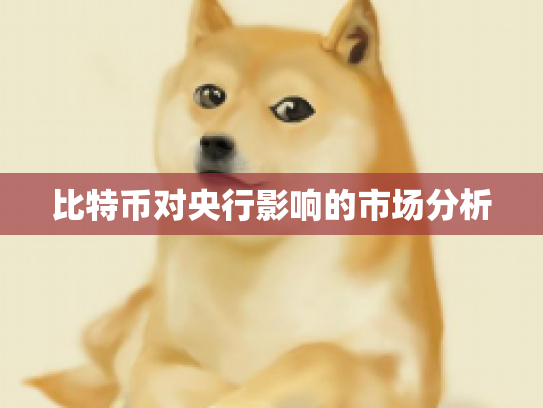 比特币对央行影响的市场分析