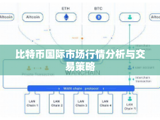 比特币国际市场行情分析与交易策略