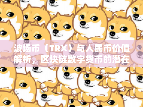 波场币（TRX）与人民币价值解析，区块链数字货币的潜在与风险