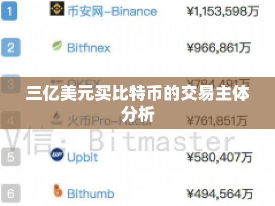 三亿美元买比特币的交易主体分析