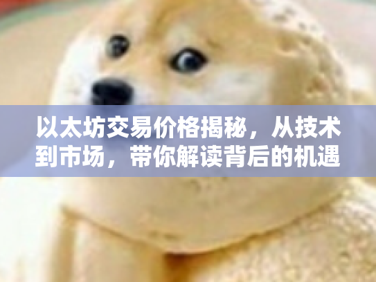 以太坊交易价格揭秘，从技术到市场，带你解读背后的机遇与风险