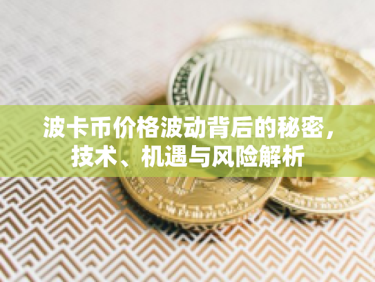 波卡币价格波动背后的秘密，技术、机遇与风险解析