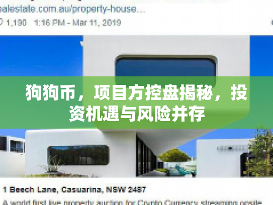 狗狗币，项目方控盘揭秘，投资机遇与风险并存
