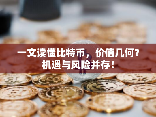 一文读懂比特币，价值几何？机遇与风险并存！