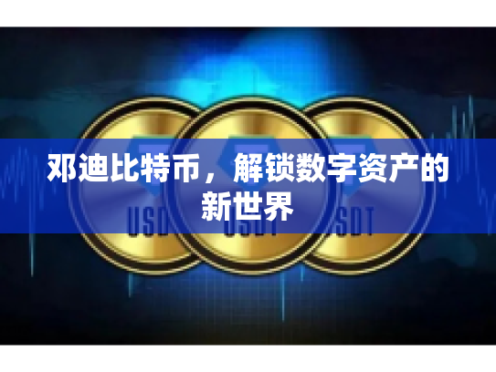 邓迪比特币，解锁数字资产的新世界
