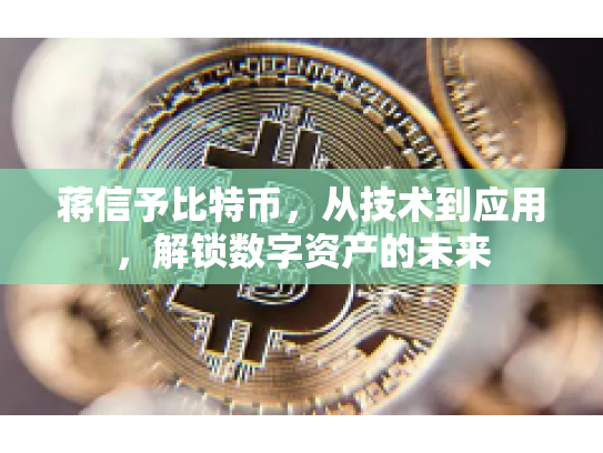 蒋信予比特币，从技术到应用，解锁数字资产的未来