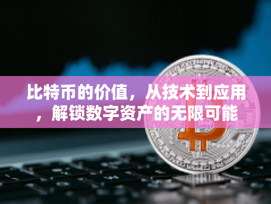 比特币的价值,从技术到应用,解锁数字资产的无限可能 比特币的价值,从技术到应用,解锁数字资产的无限可能