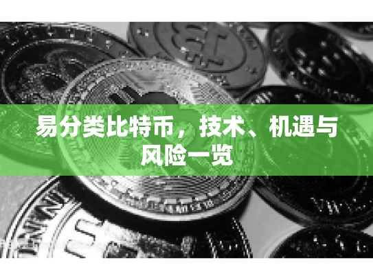 易分类比特币,技术、机遇与风险一览 易分类比特币,技术、机遇与风险一览