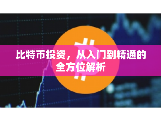 比特币投资,从入门到精通的全方位解析 比特币投资,从入门到精通的全方位解析