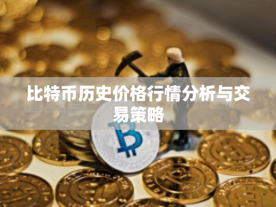 比特币历史价格行情分析与交易策略 比特币历史价格行情分析与交易策略