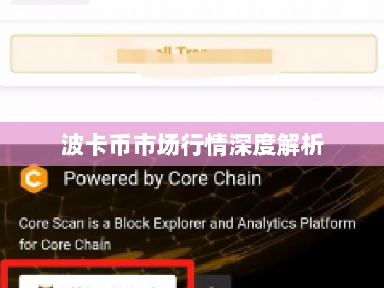 波卡币市场行情深度解析