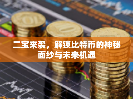 二宝来袭,解锁比特币的神秘面纱与未来机遇 二宝来袭,解锁比特币的神秘面纱与未来机遇