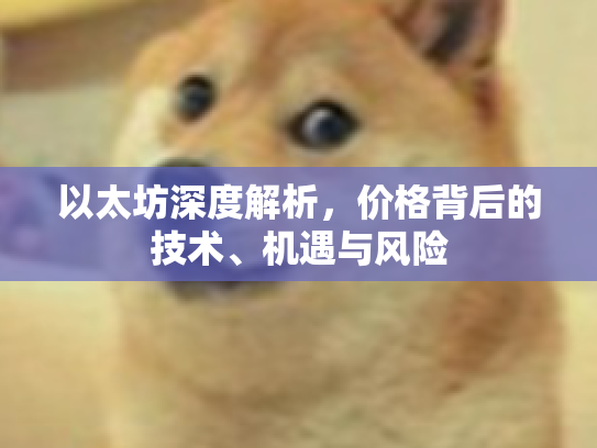 以太坊深度解析,价格背后的技术、机遇与风险 以太坊深度解析,价格背后的技术、机遇与风险