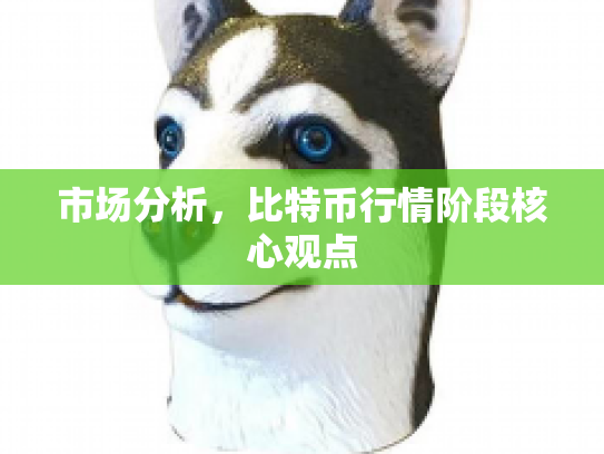 市场分析,比特币行情阶段核心观点 市场分析,比特币行情阶段核心观点