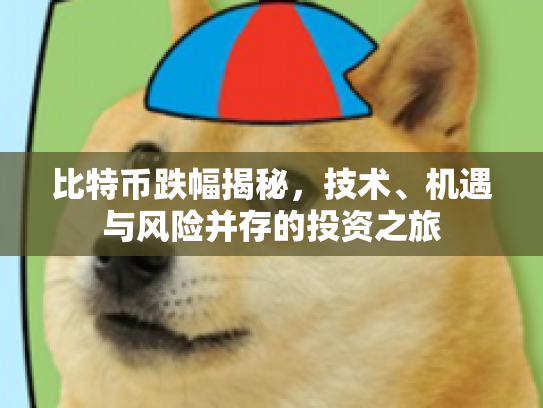 比特币跌幅揭秘，技术、机遇与风险并存的投资之旅