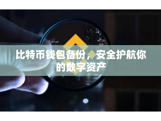 比特币钱包备份，安全护航你的数字资产