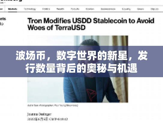 波场币，数字世界的新星，发行数量背后的奥秘与机遇